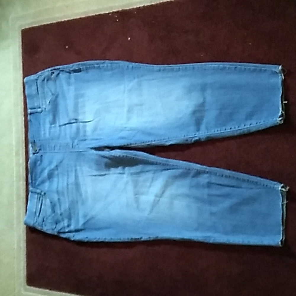 Ladies size 2X (20W-22W) Terra & Sky jeans